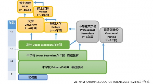 ベトナム教育制度図