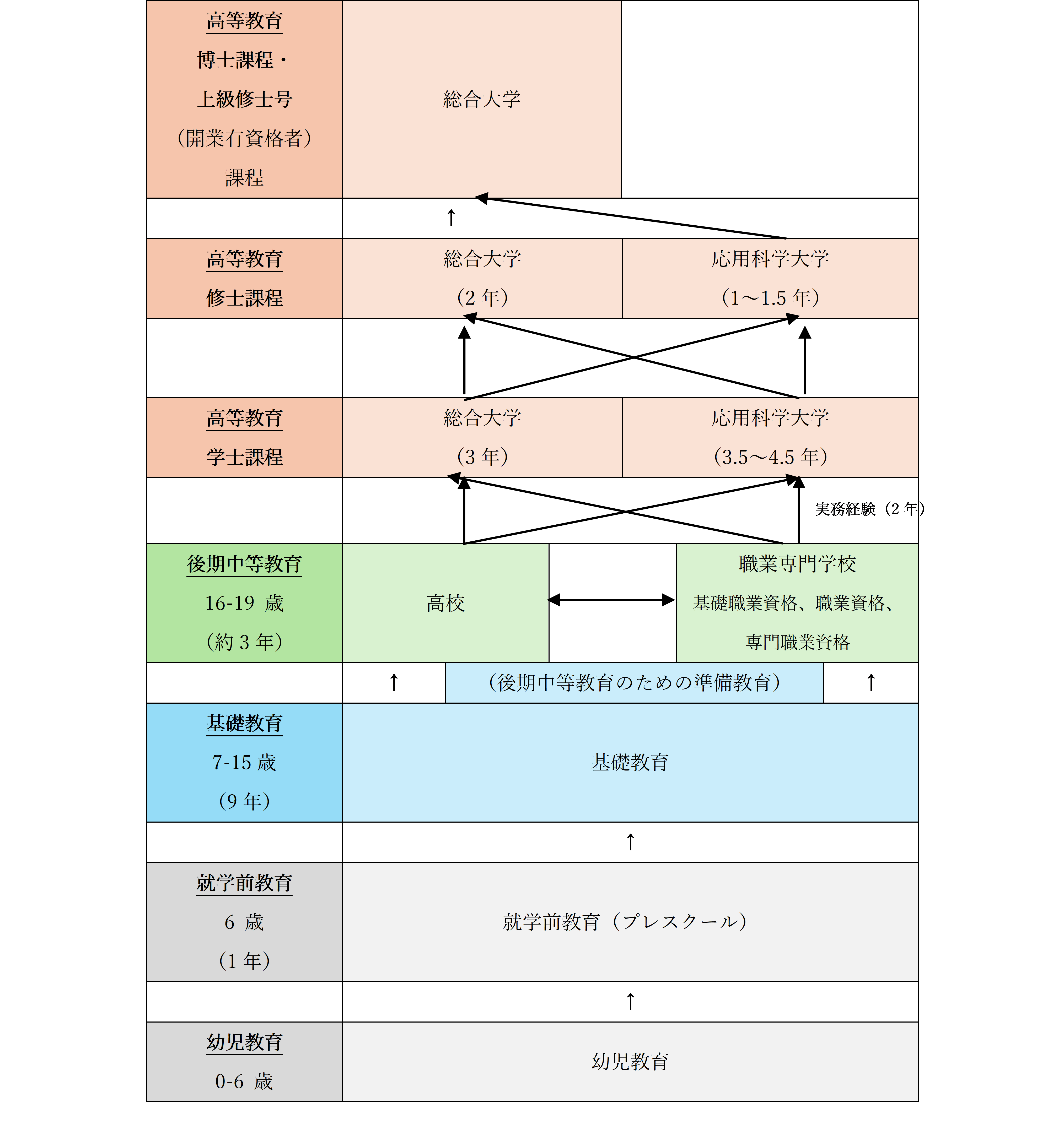 教育制度図