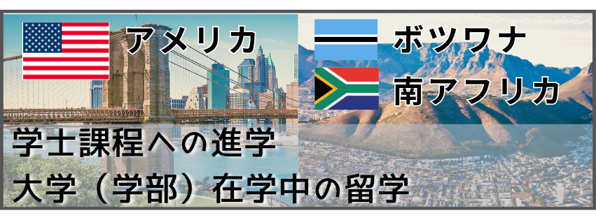 留学経験者_アメリカ